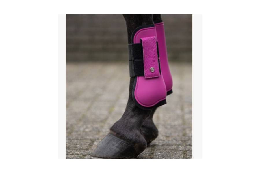 Protectores Tendón QHP Rio Festival Fucsia | Equestrian. Calvet Animals i