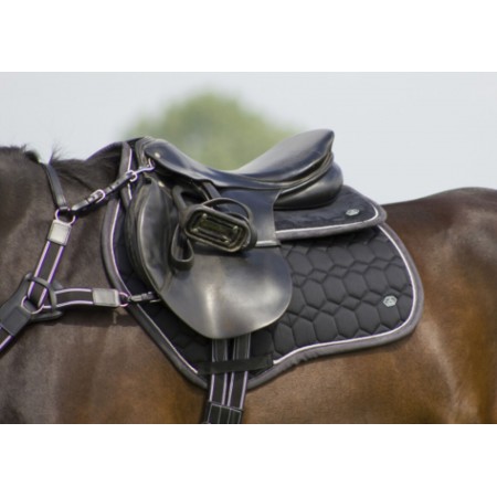 Salvadorsos QHP Eldorado Elegant | Equestrian. Calvet Animals i Plantes. 2