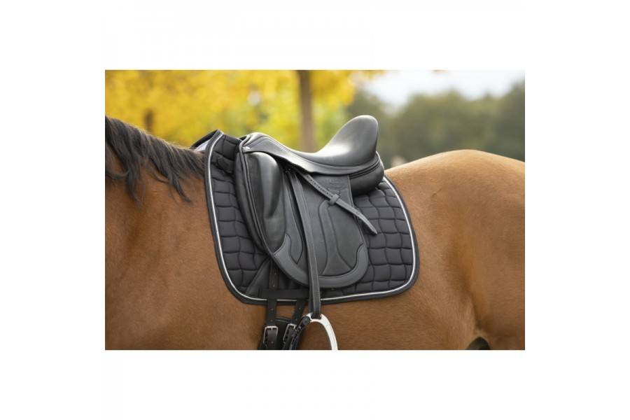 Sudadero Doma Equitheme Sport Negro | Equestrian. Calvet Animals i Plantes.