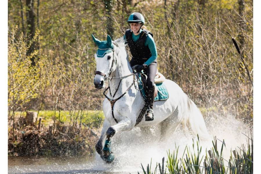 Sudadero Uso General QHP Eldorado Deep Lake | Equestrian. Calvet Animals i