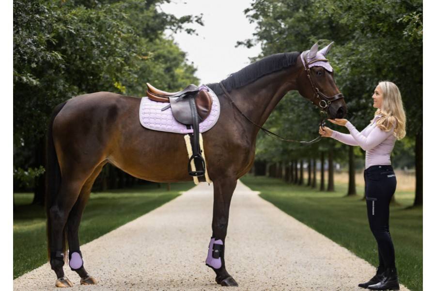 Suador Us General QHP Florence Lavanda |Cavall i Genet a Equestrian