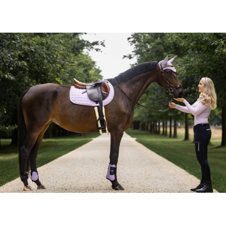 Suador Us General QHP Florence Lavanda |Cavall i Genet a Equestrian