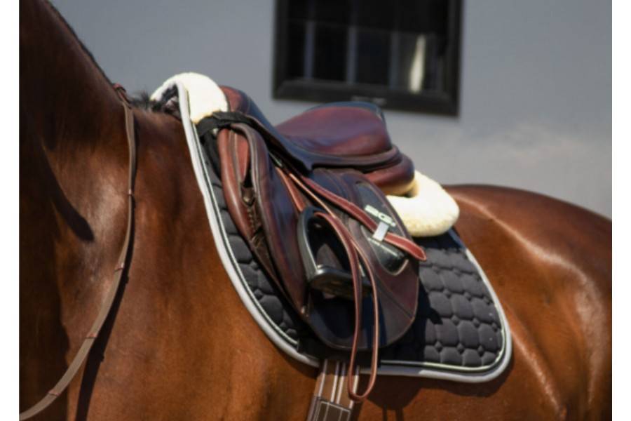 Sudadero Uso General Florence Negro | Equestrian. Calvet Animals i Plantes.