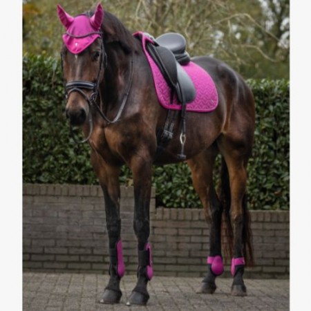 Sudadero Uso General QHP Rio Festival Fucsia | Equestrian. Calvet Animals