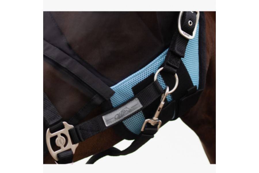 Máscara Con Orejas QHP Extensible Azul | Equestrian. Calvet Animals i