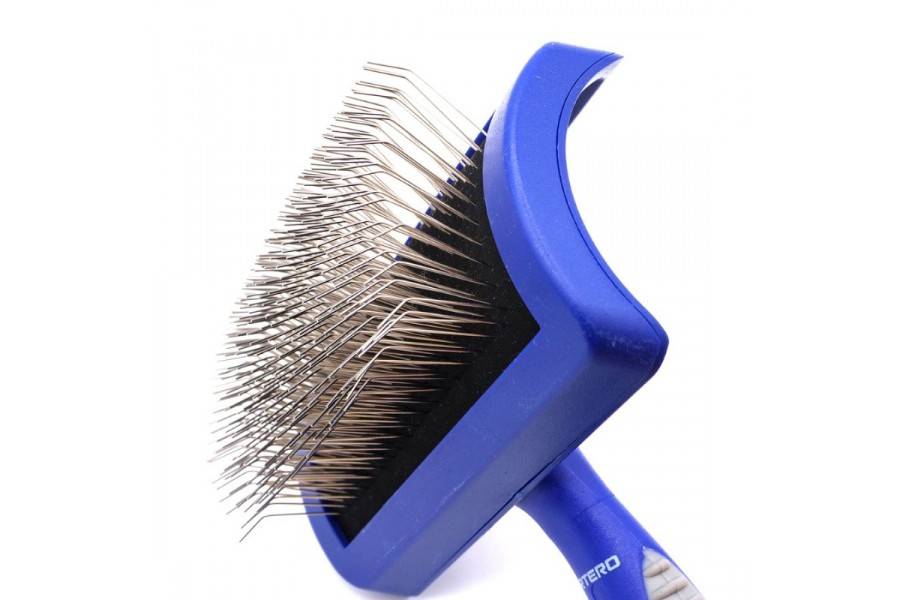 Carda Púas Extra Largas Artero para perros | Calvet Animales y Plantas