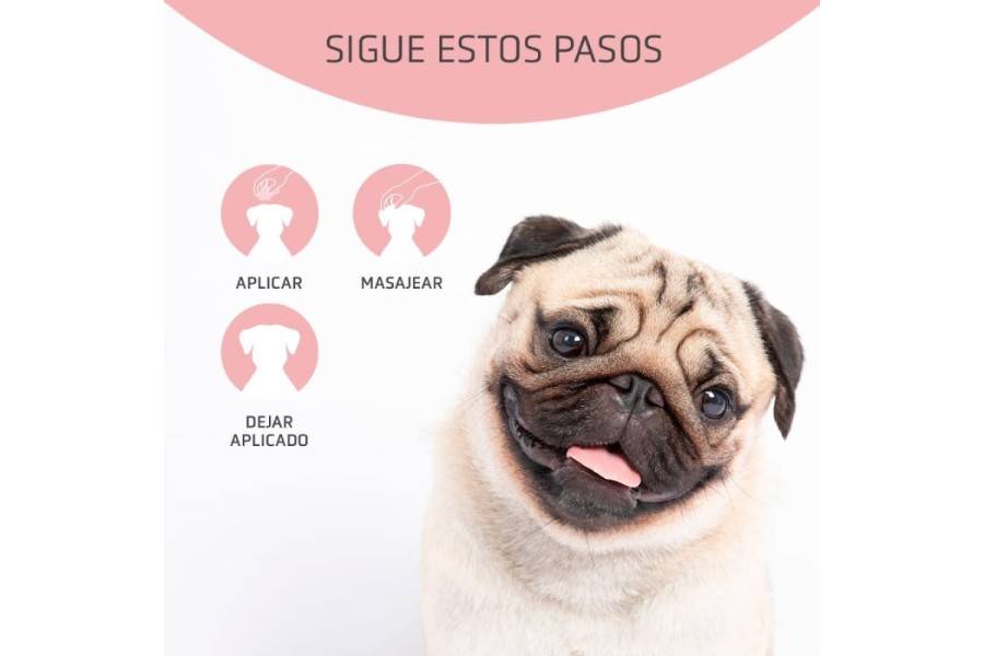 Dfender Artero 100ml per gossos | Calvet Animals i Plantes