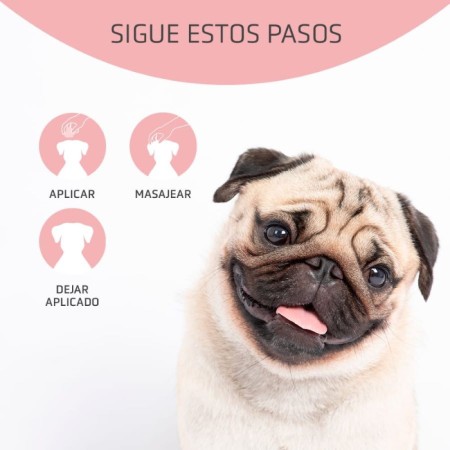 Dfender Artero 100ml per gossos | Calvet Animals i Plantes