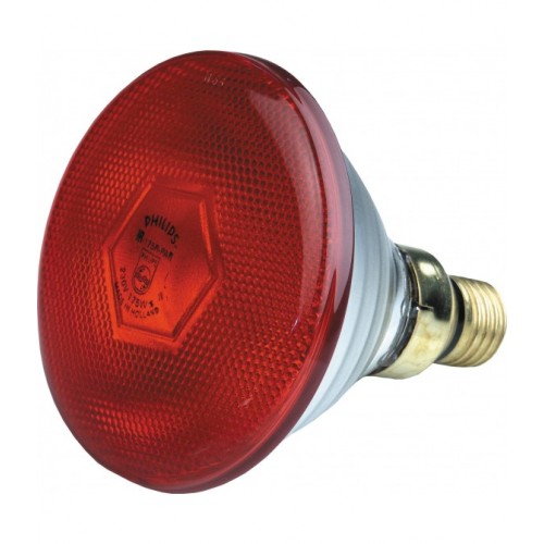 Bombilla Infrarood 175 W Roja | Animales de granja. Calvet Animals i