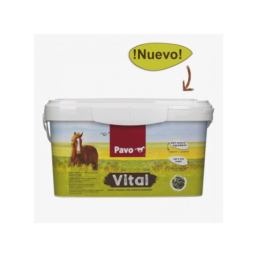 Pavo Vital | Equestrian. Calvet Animals i Plantes.