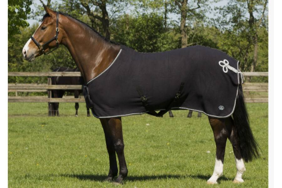 Manta Cavall Polar QHP Eldorado Elegant |Cavall i Genet a Equestrian