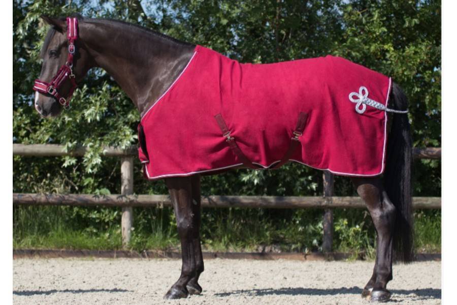 Manta Caballo Polar QHP Ornament Bordeus/Plata | Equestrian. Calvet