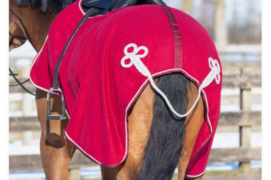 Manta Ronyonera QHP Polar Ornament Bordeus/Plata |Cavall i Genet a