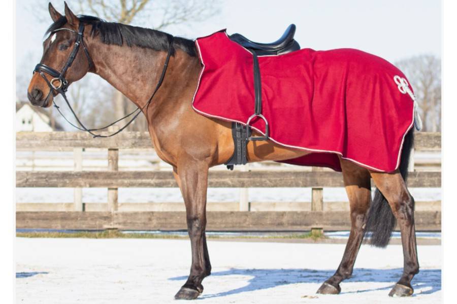 Manta Ronyonera QHP Polar Ornament Bordeus/Plata |Cavall i Genet a