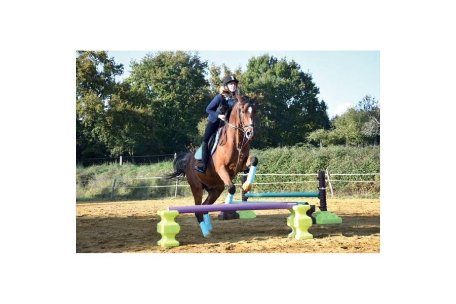Cavaletti Easy Jump Blau |Cavall i Genet a Equestrian, Calvet Animal i