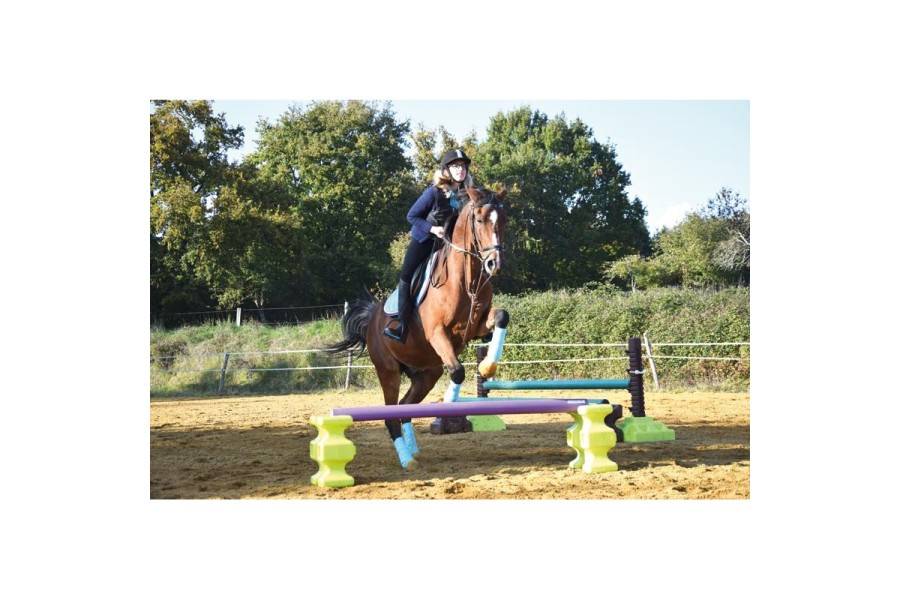 Cavaletti Easy Jump Verd Pistatxo |Cavall i Genet a Equestrian, Calvet