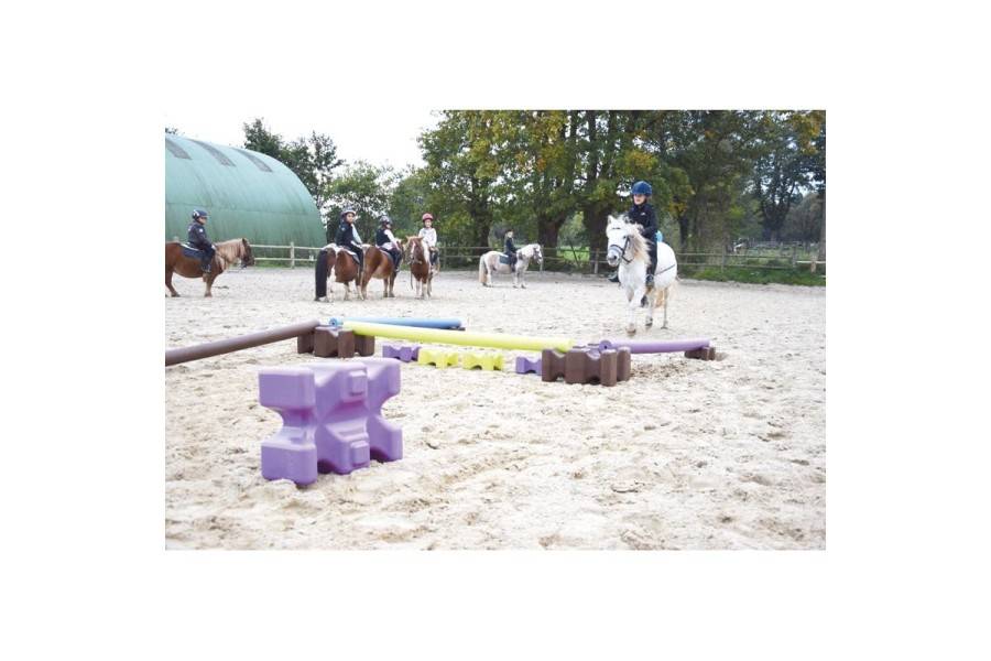 Cavaletti Easy Jump Chocolate | Equestrian. Calvet Animals i Plantes.