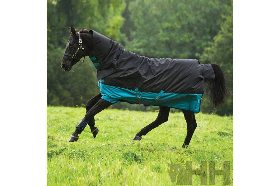 Manta Caballo Exterior Mio All-In-One Cuello 200gr Negra/Turquesa |