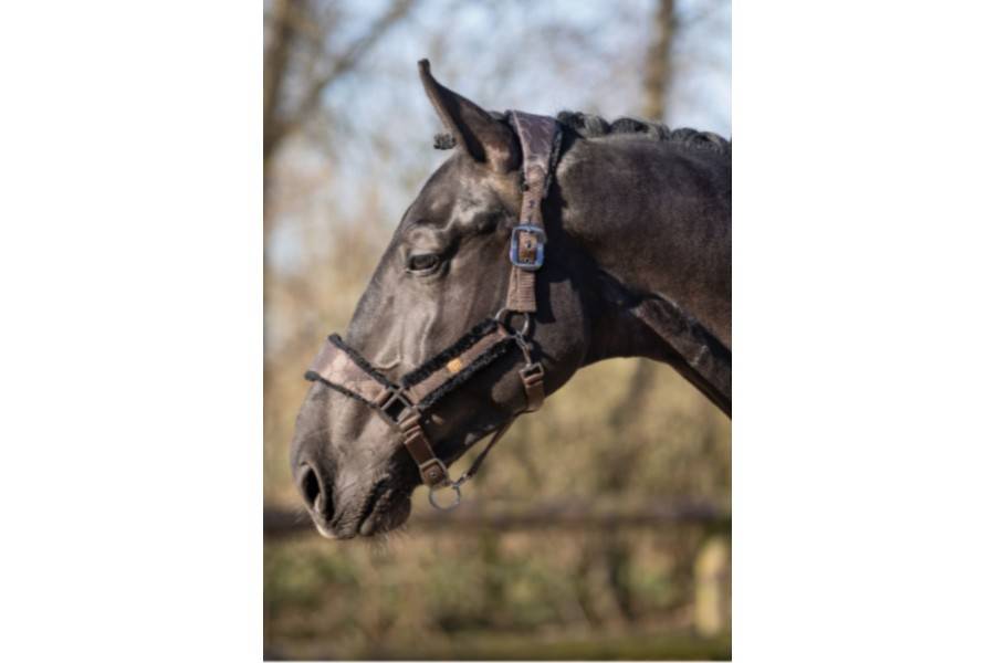 Morralla Quadra QHP Classy Marró Fosc |Cavall i Genet a Equestrian, Calvet