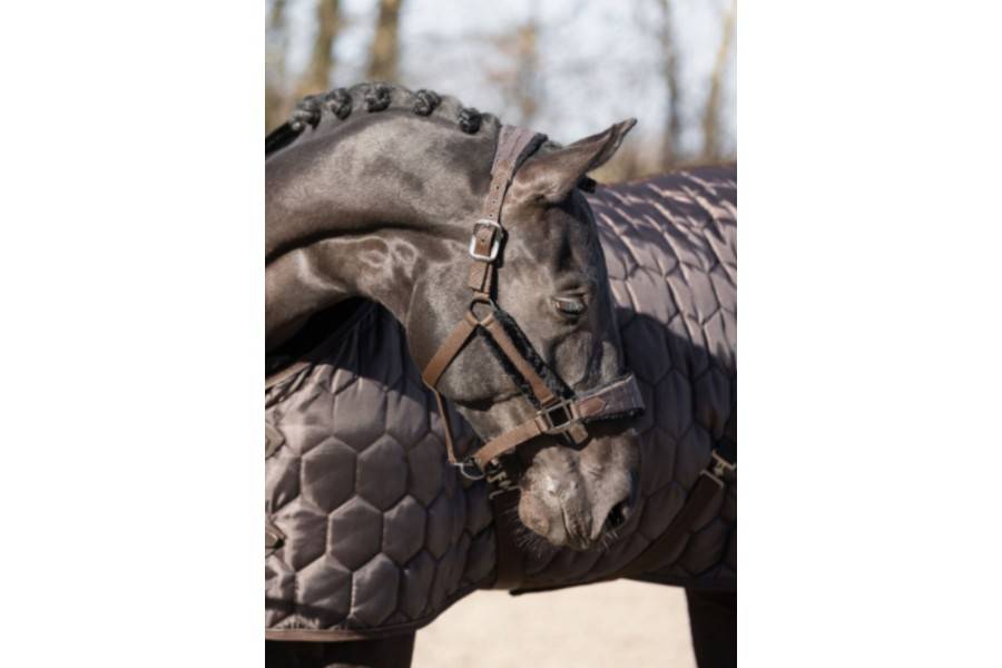 Cabezada Cuadra QHP Classy Marrón Oscuro | Equestrian. Calvet Animals i