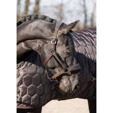 Cabezada Cuadra QHP Classy Marrón Oscuro | Equestrian. Calvet Animals i