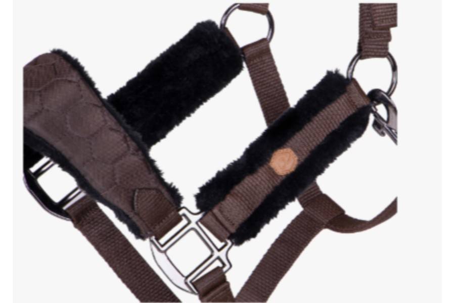 Cabezada Cuadra QHP Classy Marrón Oscuro | Equestrian. Calvet Animals i