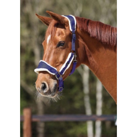 Morralla Quadra QHP Classy Blau Marí |Cavall i Genet a Equestrian, Calvet