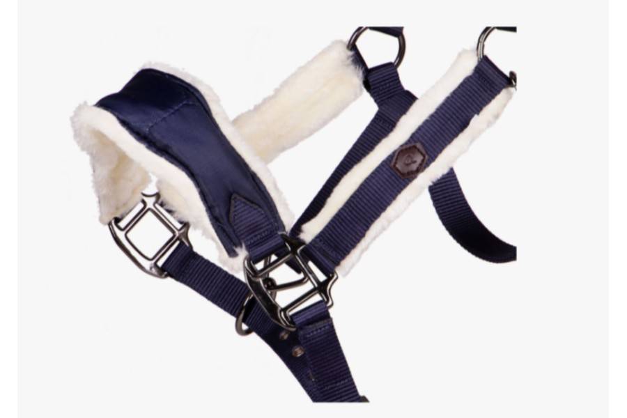 Cabezada Cuadra QHP Classy Azul Marino | Equestrian. Calvet Animals i