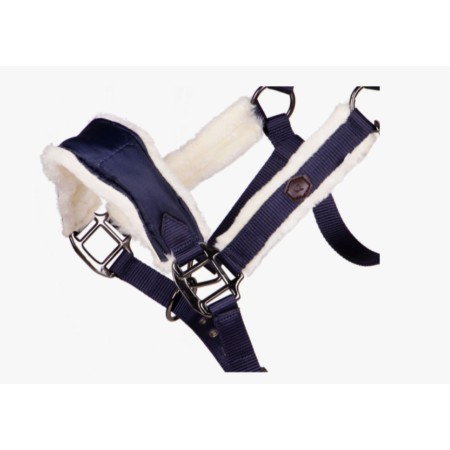 Cabezada Cuadra QHP Classy Azul Marino | Equestrian. Calvet Animals i