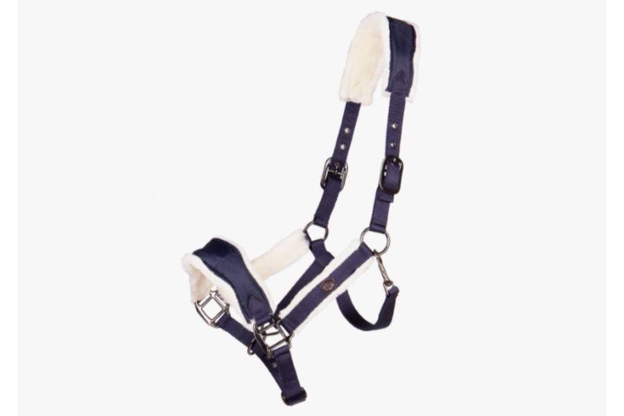 Cabezada Cuadra QHP Classy Azul Marino | Equestrian. Calvet Animals i