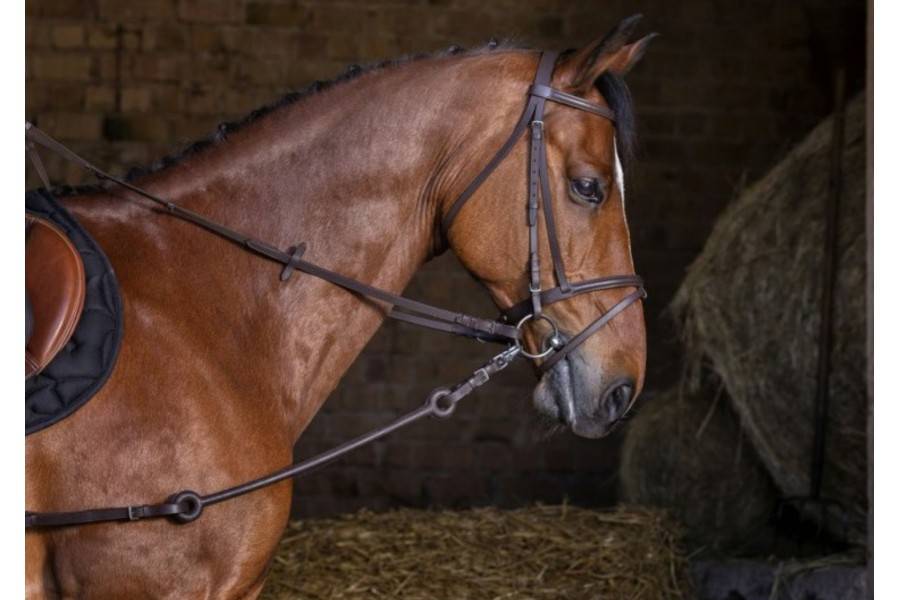 Riendas Fijas Riding World Goma Largas Negras | Equestrian. Calvet Animals