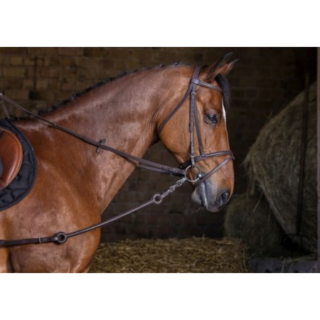 Regnes Fixes Riding World Goma Llargues Negras |Cavall i Genet a