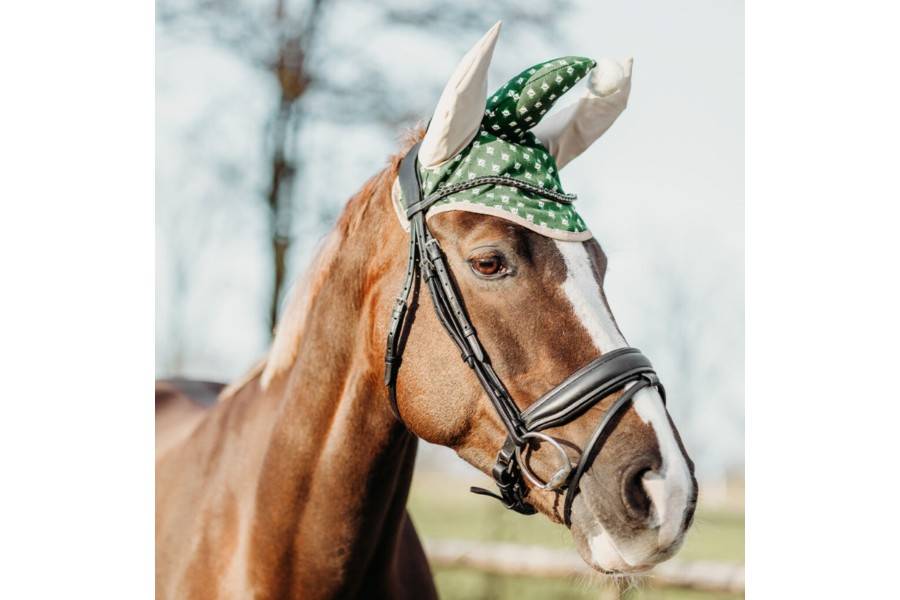 Orelleres QHP Christmas Elf |Cavall i Genet a Equestrian, Calvet Animal i