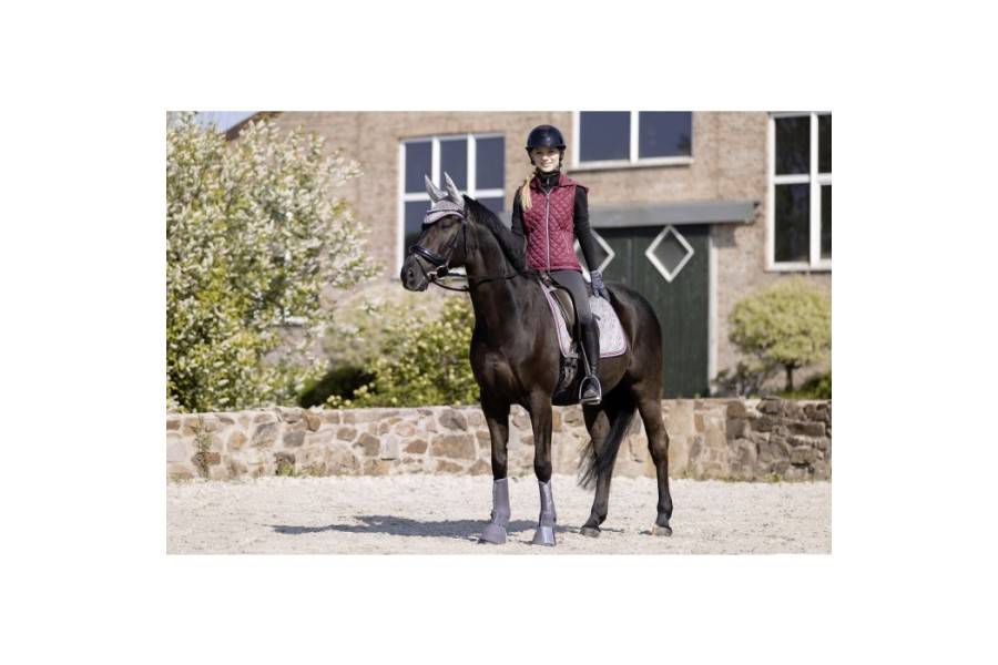 Campanas HKM Berry Gris Oscuro | Equestrian. Calvet Animals i Plantes.