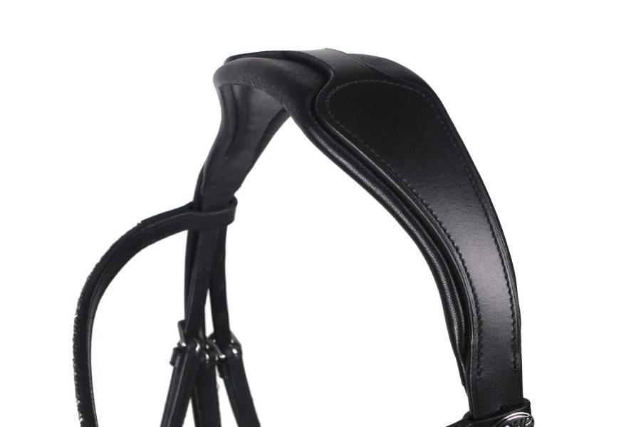 Brida Montar QHP Lupine Negra/Gris | Equestrian. Calvet Animals i Plantes.