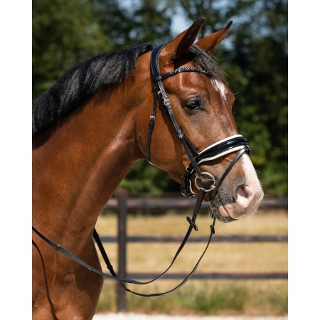 Brida Montar QHP Lupine Negra/Blanca | Equestrian. Calvet Animals i