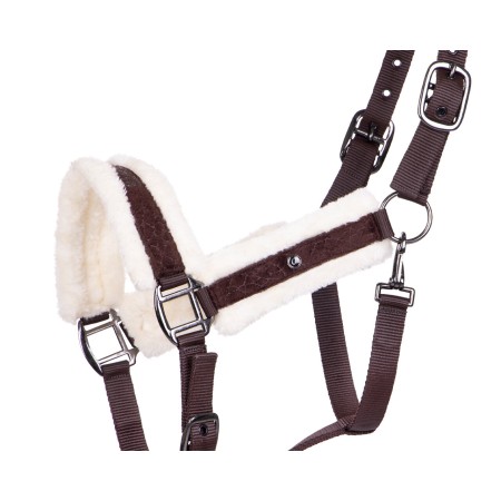 Cabezada Cuadra QHP + Ramal Julin Café | Equestrian. Calvet Animals i 2