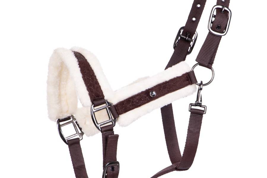 Morralla Quadra QHP + Ramal Julin Cafè |Cavall i Genet a Equestrian