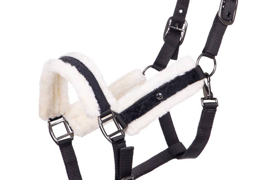 Morralla Quadra QHP + Ramal Julin Negra |Cavall i Genet a Equestrian