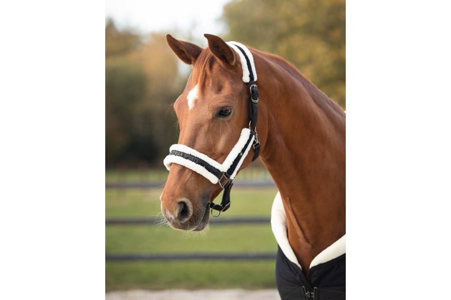 Morralla Quadra QHP + Ramal Julin Negra |Cavall i Genet a Equestrian