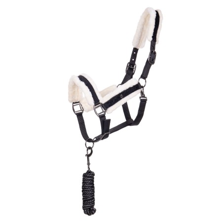 Cabezada Cuadra QHP + Ramal Julin Negra | Equestrian. Calvet Animals i