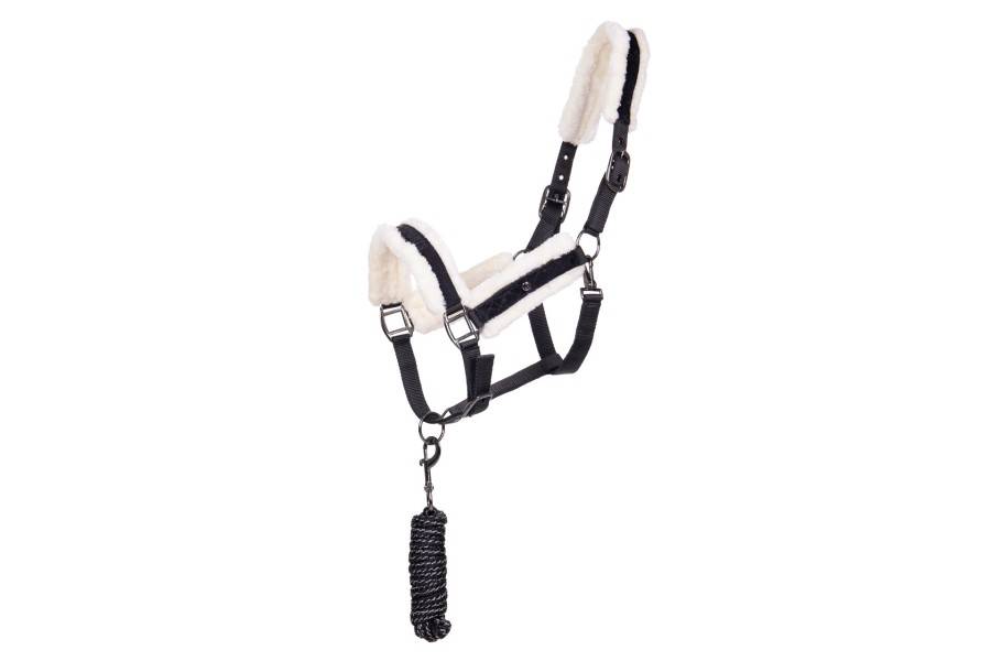 Cabezada Cuadra QHP + Ramal Julin Negra | Equestrian. Calvet Animals i