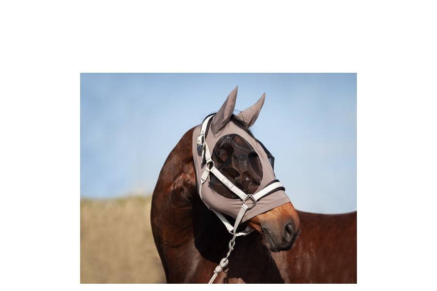 Morralla Quadra BR Eline Dove |Cavall i Genet a Equestrian, Calvet Animal