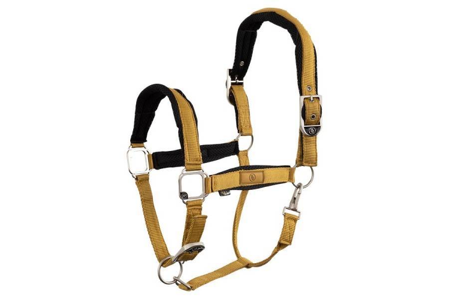 Cabezada Cuadra BR Eline Harvest Gold | Equestrian. Calvet Animals i