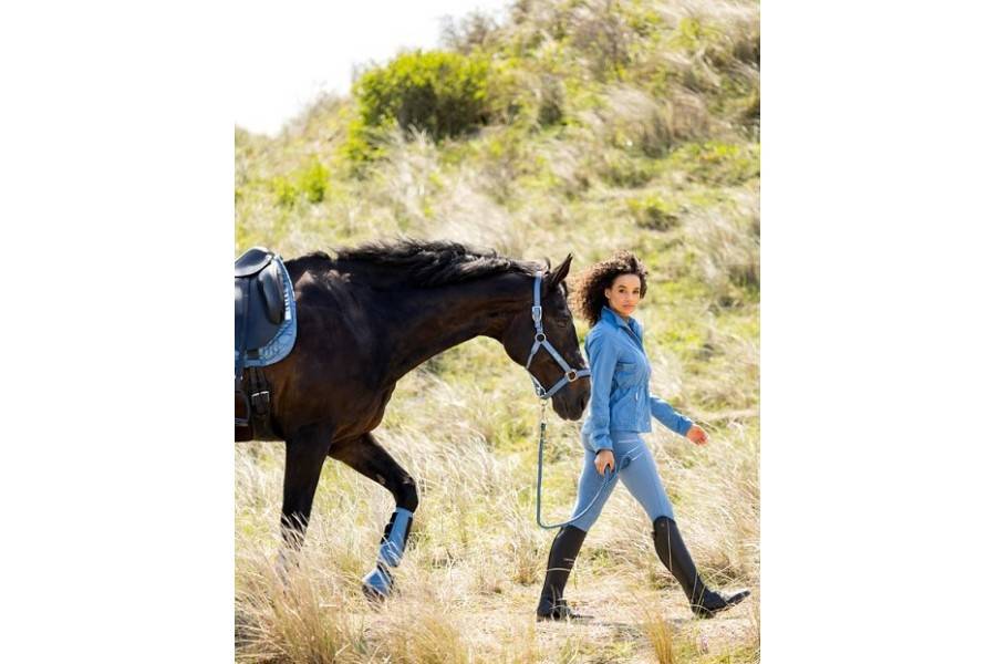 Cabezada Cuadra Br Eline Captain's Blue | Equestrian. Calvet Animals i