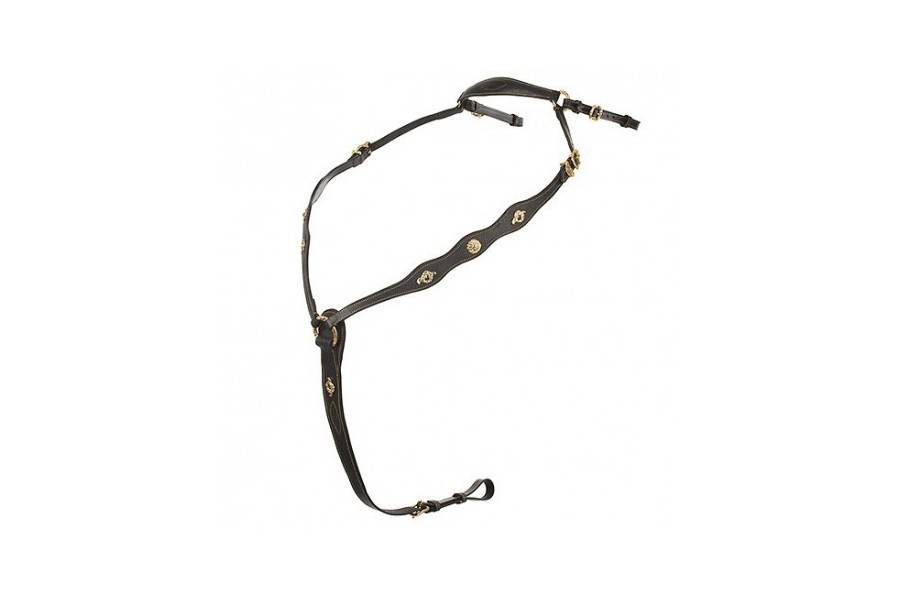 Pitpetral Portuguès HH Negro/Cromat |Cavall i Genet a Equestrian, Calvet