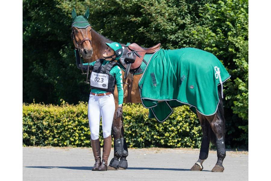 Protectores Delanteros QHP Cross Techincal Negro | Equestrian. Calvet