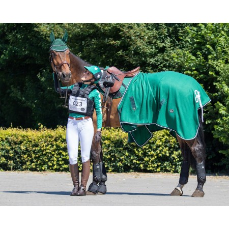 Protectores Traseros QHP Cross Techincal Negro | Equestrian. Calvet