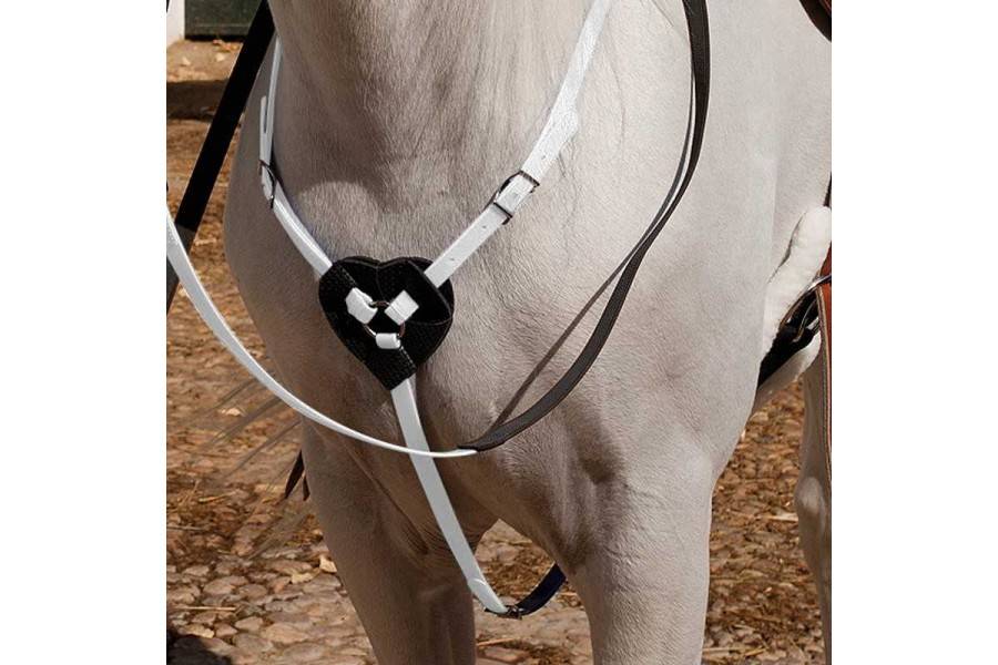 Peitpetral Raid Biothane Blanc | Equestrian. Calvet Animals i Plantes.