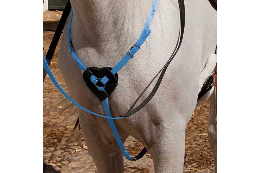 Pechopetral Raid Biothane Azul Claro | Equestrian. Calvet Animals i